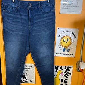 Size 20 Sofia by Sofia Vergara Women's Dark Blue Skinny Jeans